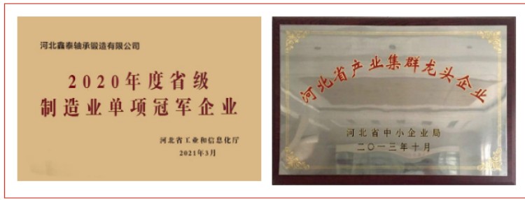 省级制造业单项冠军 今日推介河北鑫泰轴承锻造有限公司(图2)
